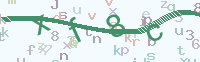 看不清楚？點(diǎn)擊可獲取新的驗(yàn)證碼.