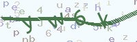 看不清楚？點(diǎn)擊可獲取新的驗(yàn)證碼.