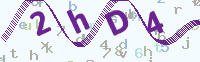 看不清楚？點(diǎn)擊可獲取新的驗證碼.