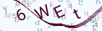 看不清楚？點(diǎn)擊可獲取新的驗證碼.