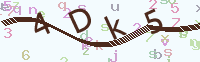 看不清楚？點(diǎn)擊可獲取新的驗(yàn)證碼.