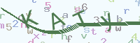 看不清楚？點(diǎn)擊可獲取新的驗(yàn)證碼.
