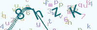 看不清楚？點(diǎn)擊可獲取新的驗(yàn)證碼.