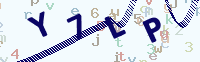 看不清楚？點(diǎn)擊可獲取新的驗(yàn)證碼.