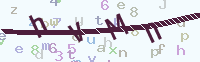 看不清楚？點(diǎn)擊可獲取新的驗(yàn)證碼.