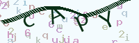 看不清楚？點(diǎn)擊可獲取新的驗(yàn)證碼.