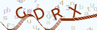 看不清楚？點(diǎn)擊可獲取新的驗(yàn)證碼.