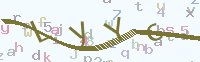 看不清楚？點(diǎn)擊可獲取新的驗(yàn)證碼.