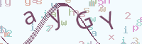 看不清楚？點(diǎn)擊可獲取新的驗(yàn)證碼.