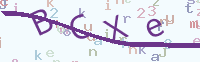 看不清楚？點(diǎn)擊可獲取新的驗(yàn)證碼.