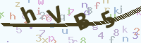 看不清楚？點(diǎn)擊可獲取新的驗(yàn)證碼.