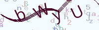 看不清楚？點(diǎn)擊可獲取新的驗(yàn)證碼.