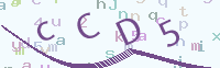 看不清楚？點(diǎn)擊可獲取新的驗(yàn)證碼.