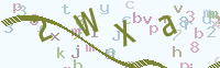 看不清楚？點(diǎn)擊可獲取新的驗(yàn)證碼.