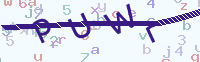 看不清楚？點(diǎn)擊可獲取新的驗(yàn)證碼.