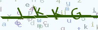 看不清楚？點(diǎn)擊可獲取新的驗(yàn)證碼.