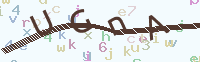 看不清楚？點(diǎn)擊可獲取新的驗(yàn)證碼.
