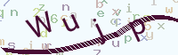 看不清楚？點(diǎn)擊可獲取新的驗(yàn)證碼.