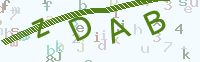 看不清楚？點(diǎn)擊可獲取新的驗(yàn)證碼.
