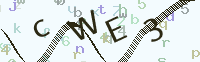 看不清楚？點(diǎn)擊可獲取新的驗(yàn)證碼.