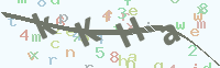 看不清楚？點(diǎn)擊可獲取新的驗(yàn)證碼.