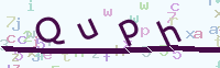 看不清楚？點(diǎn)擊可獲取新的驗(yàn)證碼.