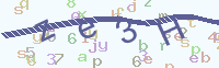 看不清楚？點(diǎn)擊可獲取新的驗證碼.