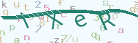 看不清楚？點(diǎn)擊可獲取新的驗(yàn)證碼.