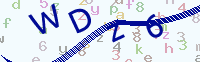 看不清楚？點(diǎn)擊可獲取新的驗(yàn)證碼.