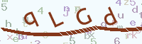 看不清楚？點(diǎn)擊可獲取新的驗(yàn)證碼.