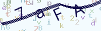 看不清楚？點(diǎn)擊可獲取新的驗(yàn)證碼.