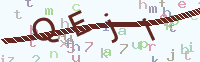 看不清楚？點(diǎn)擊可獲取新的驗(yàn)證碼.