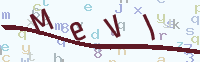 看不清楚？點(diǎn)擊可獲取新的驗(yàn)證碼.