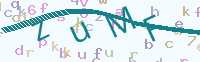 看不清楚？點(diǎn)擊可獲取新的驗(yàn)證碼.