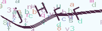 看不清楚？點(diǎn)擊可獲取新的驗(yàn)證碼.