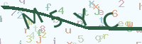 看不清楚？點(diǎn)擊可獲取新的驗(yàn)證碼.