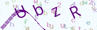 看不清楚？點(diǎn)擊可獲取新的驗(yàn)證碼.