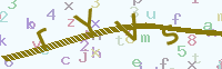 看不清楚？點(diǎn)擊可獲取新的驗(yàn)證碼.