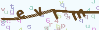 看不清楚？點(diǎn)擊可獲取新的驗(yàn)證碼.