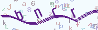 看不清楚？點(diǎn)擊可獲取新的驗(yàn)證碼.