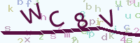 看不清楚？點(diǎn)擊可獲取新的驗(yàn)證碼.