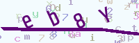 看不清楚？點(diǎn)擊可獲取新的驗(yàn)證碼.