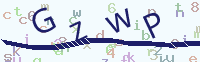看不清楚？點(diǎn)擊可獲取新的驗(yàn)證碼.
