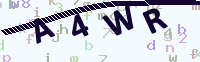 看不清楚？點(diǎn)擊可獲取新的驗(yàn)證碼.