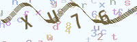 看不清楚？點(diǎn)擊可獲取新的驗(yàn)證碼.