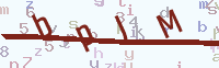 看不清楚？點(diǎn)擊可獲取新的驗(yàn)證碼.