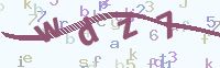 看不清楚？點(diǎn)擊可獲取新的驗(yàn)證碼.