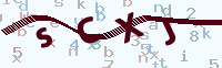 看不清楚？點(diǎn)擊可獲取新的驗(yàn)證碼.