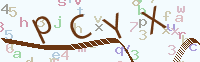 看不清楚？點(diǎn)擊可獲取新的驗(yàn)證碼.