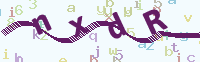 看不清楚？點(diǎn)擊可獲取新的驗(yàn)證碼.